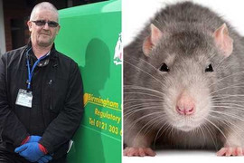 Video: Chuột khổng lồ tấn công nước Anh