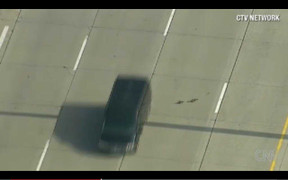 Xem mẹ con nhà vịt băng qua đường cao tốc