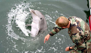 Quân đội Mỹ đưa 'chiến binh đặc biệt' tập trận ở Biển Đen