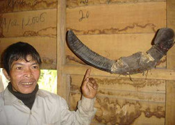 Lễ hội tình nhân kỳ lạ giữa đại ngàn Trường Sơn