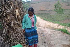 Vừ Già Pó lưu lạc sang Pakistan: Khốn đốn vì 20 triệu đồng