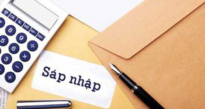 Sáp nhập ngân hàng: Phù phép ‘hai con gà què’?