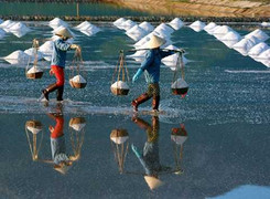 Ảnh: Những phụ nữ oằn mình trên đồng muối Hòn Khói