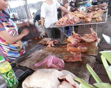 Thịt gà giá...25.000đồng/kg