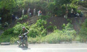 Hàng trăm người xới tung chân đèo tìm gỗ quý