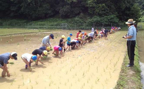 Chuyện ở xứ sở dạy… không được khóc