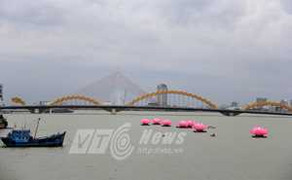 7 đóa sen khổng lồ bất ngờ 'nở' trên sông Hàn