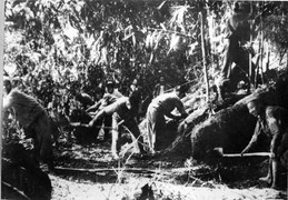 Những chuyện khó tin về hành trình kéo pháo lên Điện Biên Phủ