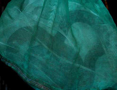 Phát hiện nhiều rắn độc ngo ngoe trên xe khách