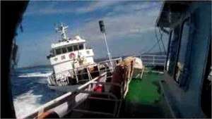 Kiểm ngư Việt Nam: 'Mọi sự chịu đựng chỉ có giới hạn'