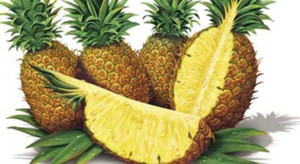 Lõi quả dứa giảm di căn bệnh ung thư