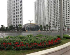 Vì sao dự án Times City 'sốt' trở lại?