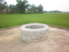 Kỳ lạ giếng cổ 'mọc' từ thân cây ở Nghệ An