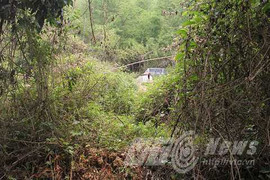 Cuộc trộm mộ cô gái bị sét đánh lúc nửa đêm