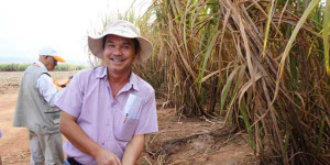 Nông nghiệp 'đẻ trứng vàng', công ty bầu Đức ba tháng lãi 400 tỷ đồng