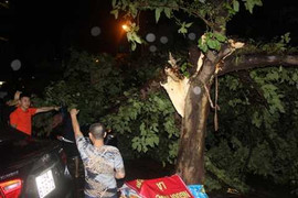 Hà Nội: Cây xanh bật gốc đè lên ô tô sau cơn mưa chiều