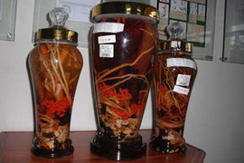 10 bài rượu thuốc cho quý ông 'tắt lửa'