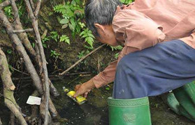 Thực hư mó nước có khả năng chữa bệnh ở Hòa Bình