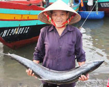 Thắng mùa cá, nghị lực bám biển Hoàng Sa càng căng đầy