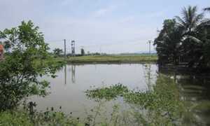 Rơi xuống ao nhà hàng xóm, bé trai 8 tuổi chết đuối