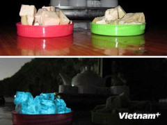 Kinh ngạc giò lụa phát ánh sáng dương trong đêm