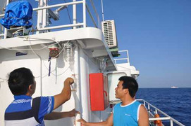 Nóng sáng 28/5: Ong bám biển và ‘ong ve’ ở Hoàng Sa