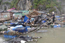 Sẽ có khoảng 10 cơn bão, áp thấp trên Biển Đông