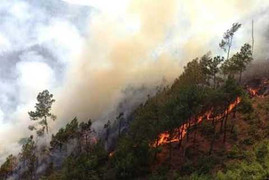 Giữa trưa 40 độ, hàng trăm người cứu rừng thông cháy