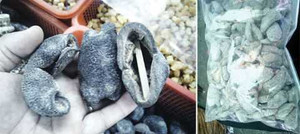 Dân Sài Gòn đổ xô mua banh lông chữa bệnh