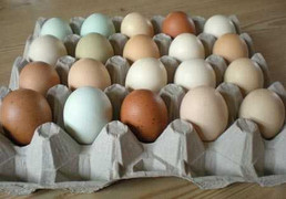 Những thực phẩm vẫn ăn được vài tuần sau hạn dùng