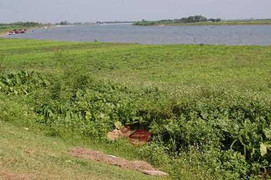 Bẫy điện chết 2 bố con, ném xác xuống sông phi tang