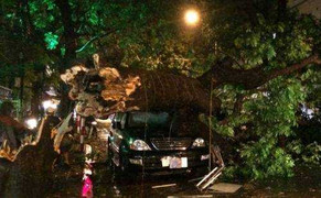 'Chưa bao giờ thấy Hà Nội tan hoang đến thế'