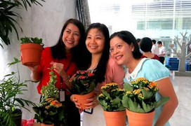 Vinamilk tổ chức đổi vỏ hộp sữa lấy cây xanh