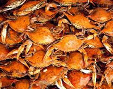 Phạt thương lái Trung Quốc mua cua Việt trái phép