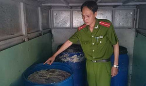 Bắt giữ hàng trăm kg nội tạng thối tuồn vào Hà Nội