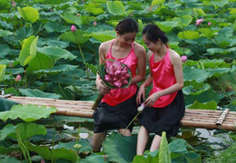 Giới trẻ Hà Thành đổ xô chụp ảnh sen đầu mùa