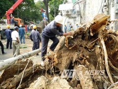 Khiếp vía cái chết lơ lửng trên đầu khi đi giữa phố