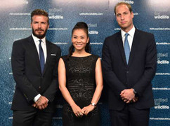 Thu Minh rạng rỡ bên Beckham và hoàng tử William