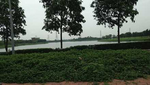 Yên Sở: Công viên hiện đại nhất hay rừng nguyên sinh?