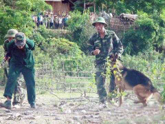 Bộ đội diễn tập đánh địch xâm nhập biên giới