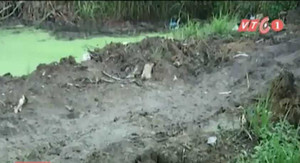 Kinh hoàng dòng kênh nhiễm 500 tấn hóa chất, không sinh vật nào sống nổi ở TP.HCM