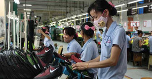 Sắp có đoàn doanh nghiệp Đài Loan đi thực tế khu vực phía Nam