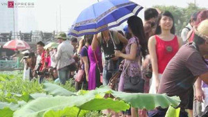 Clip: Đầm sen Hồ Tây đông nghịt thiếu nữ chụp ảnh