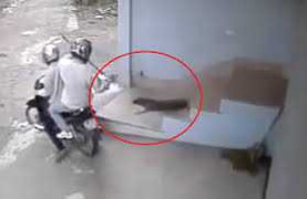 Clip: Phút 3 người đuổi trộm chó bị bắn súng điện chết