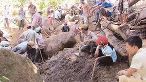 Bí mật về cuộc đào bới, tranh cướp cây kỳ nam 1.000 tỷ đồng