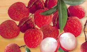 Biết thủ thuật sơ cứu này, bạn có thể cứu sống con