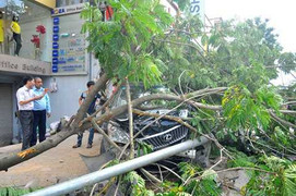 Tai nạn liên hoàn, lái xe Lexus nguy kịch