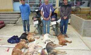 'Cẩu tặc' lại tấn công dân khi bị truy đuổi