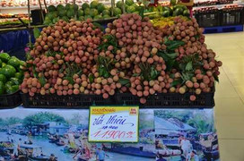 Vải thiều được mùa - Người Việt ủng hộ nông sản Việt