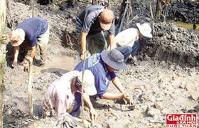 Hơn 1000 ngày xới ruộng tìm kho báu của vương quốc Phù Nam